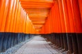 Torii gates at Kyoto Fushimi Inari Shrine