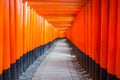 torii gates at Kyoto Fushimi Inari Shrine