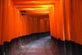 Torii Gates - Kyoto Japan
