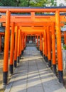 Torii gates of a small Inari shrine in the area of Ikuta-jinja Shrine