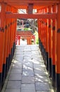 TORII GATES AT UENO TEMPLE, TOKYO Royalty Free Stock Photo