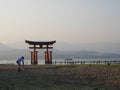 Torii - Gateways to the Sacred Royalty Free Stock Photo