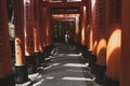 Torii Gates, Japan.