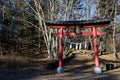 Torii in Kawaguchico. Royalty Free Stock Photo