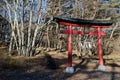 Torii in Kawaguchico. Royalty Free Stock Photo