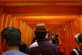 Torii leading to the outer shrine. Fushimi Inari Taisha is the head shrine of the kami Inari, located in Fushimi-ku, Kyoto, Japan