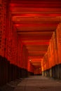 Torii in Japan Royalty Free Stock Photo