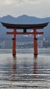 Torii in Misaka beach Royalty Free Stock Photo