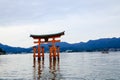 Torii miyajima island