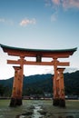 Miyajima Shrine Torii at Low Tide