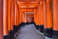 Torii path at Fushimi Inari-Taisha Shrine
