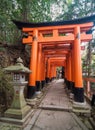 Torii path in the Fushimi Inari Taisha Shrine in Kyoto.