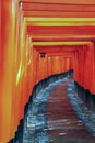 Torii path at Fushimi Inari Taisha Shrine