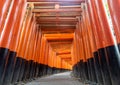 Torii path lined with thousands of torii in the Fushimi Inari Taisha Shrine in Kyoto. Royalty Free Stock Photo