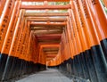 Torii path lined with thousands of torii in the Fushimi Inari Taisha Shrine in Kyoto. Royalty Free Stock Photo