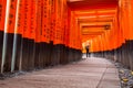 Torii path lined with thousands of torii in the Fushimi Inari Taisha Shrine in Kyoto