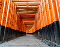 Torii path lined with thousands of torii in the Fushimi Inari Taisha Shrine in Kyoto. Royalty Free Stock Photo