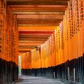 Torii path lined with thousands of torii in the Fushimi Inari Taisha Shrine in Kyoto.