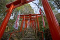 The torii at the Shinto Shrine Gateways Royalty Free Stock Photo