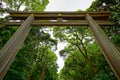 Torii in Tokyo Royalty Free Stock Photo