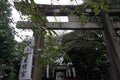 Torii traditional Japanese gate, Ueno Toshogu Shinto shrine located in Taito ward