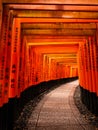 Torii tunnel of Fushimi Inari