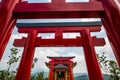 Torii tunnel in Hinoki land