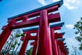 Torii tunnel in Hinoki land