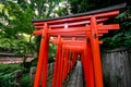 Torii tunnel in Tokyo