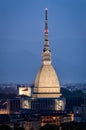 Torino la Mole Antonelliana