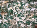 Torn advertisement on green metal wall texture