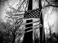 Torn American flag Royalty Free Stock Photo