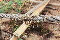 Almost torn apart aged dirty white rope, barely holding on on blurred construction background Royalty Free Stock Photo