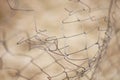 Torn barbed wire bent. Damaged fence. Macro photo. Selective focus Royalty Free Stock Photo