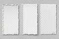 Torn Blank Pages Set with Uneven Edges for Document Mockup