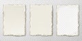 Torn Blank Pages Set with Uneven Edges for Document Mockup