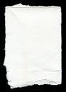 Torn blank paper with copy space