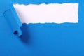 Torn blue paper strip curled edge white background frame Royalty Free Stock Photo