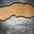 Torn bricks wall