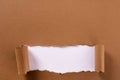 Torn brown paper background frame strip white curled bottom edge