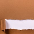 Torn brown paper long rolled bottom edge header frame white background