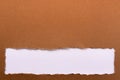 Torn brown paper strip bottom edge banner header background frame