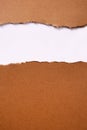 Torn brown paper strip header background frame vertical top edge