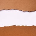 Torn brown paper strip header background frame vertical top edge