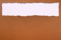 Torn brown paper strip top edge header background frame