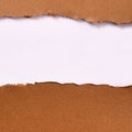 Torn brown paper strip white background top edge