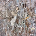 Torn bulletin board - Grunge background