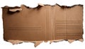 Torn Cardboard Document with Ripped Edge and Copy Space Royalty Free Stock Photo