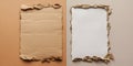 Torn cardboard and paper sheets on neutral backgrounds Royalty Free Stock Photo