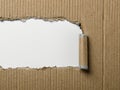 torn cardboard texture with white ripped edges Royalty Free Stock Photo